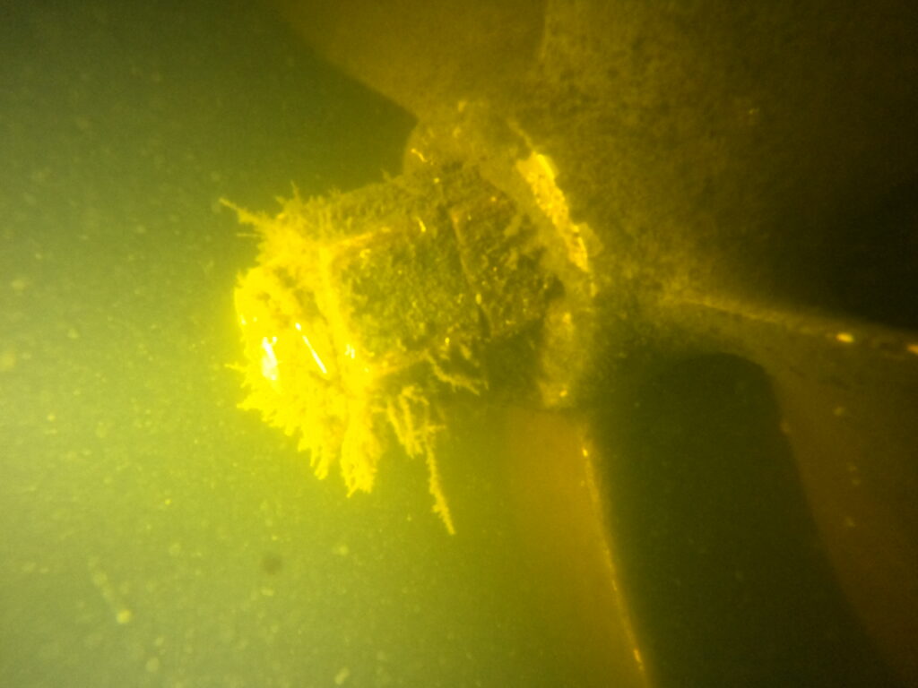 clear blue sea services hull cleaning